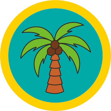 Tropical Paradise Cooking Kit. - Image 3